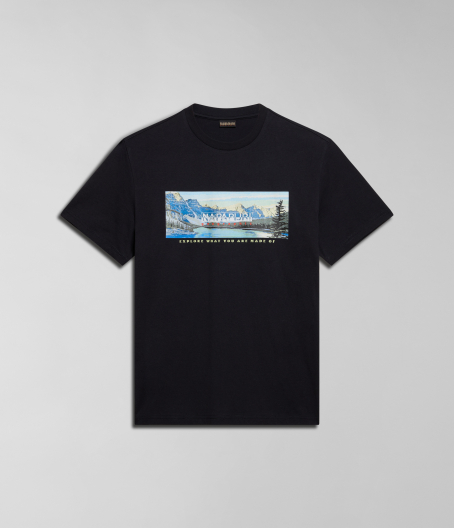 Мъжка тениска S-CANADA BLACK NP0A4HQM041 01