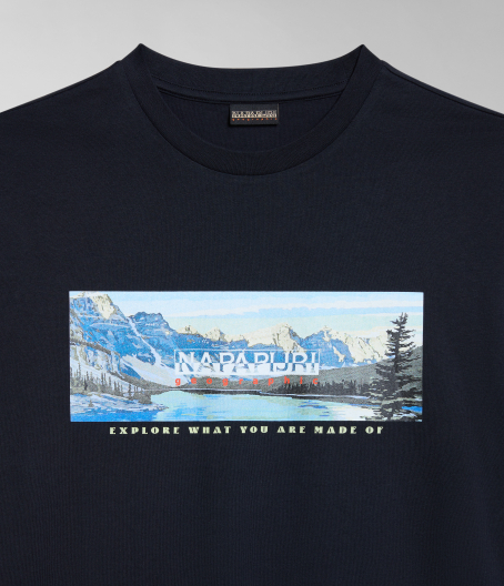 Мъжка тениска S-CANADA BLACK NP0A4HQM041 04